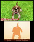 Miniatyrbild 10 av 11: 3DS-spel Nintendogs Golden Retriever + Cats