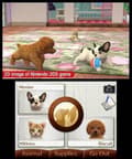 Miniatyrbild 11 av 11: 3DS-spel Nintendogs Golden Retriever + Cats