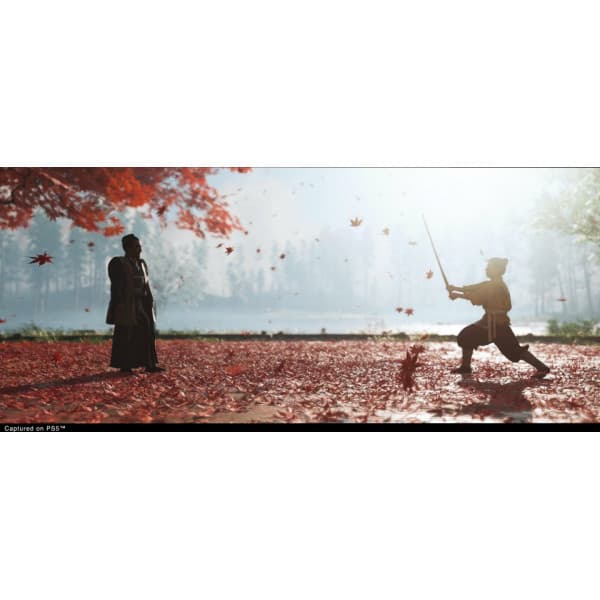 Ghost of Tsushima - Director's Cut -spil, PS4
