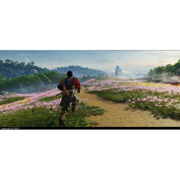 Ghost of Tsushima - Director's Cut -spil, PS4