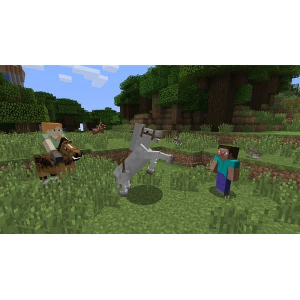 Minecraft - Nintendo Switch Edition (Switch)