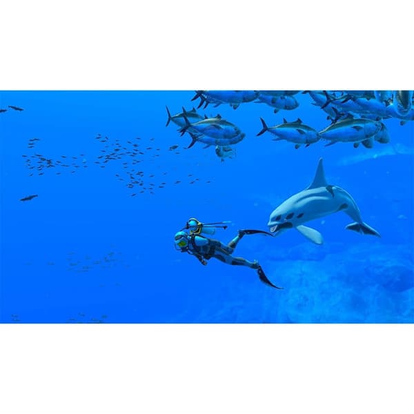 Nintendo Switch Endless Ocean Luminous