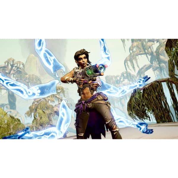 Nintendo Games Switch Borderlands 3 (ultimate Edition)  PAL