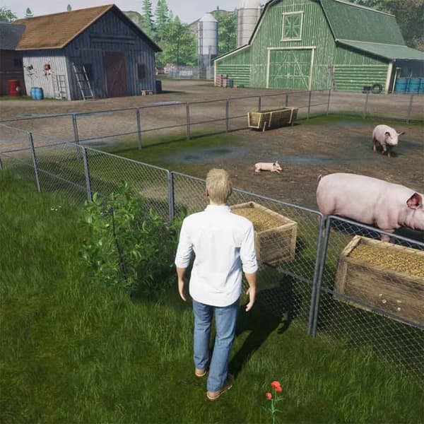 Nintendo Games Switch My Life Farm Vet PAL