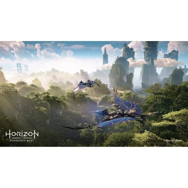 Horizon: Forbidden West PS4-spil (PS5-opgradering tilgængelig)