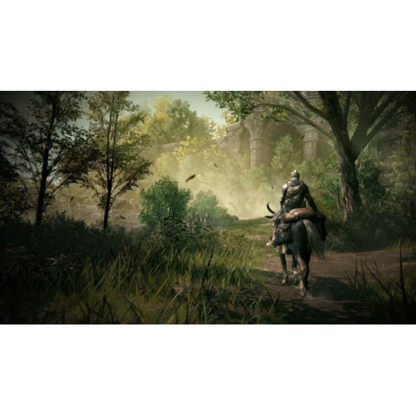 Elden Ring: Shadow of the Erdtree Edition (PS5)