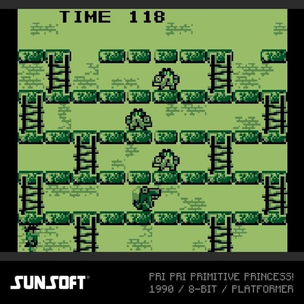 Evercade Sunsoft Collection 2 Retropelikonsoli Kirkas