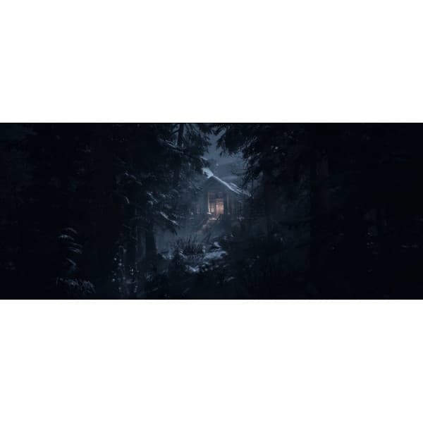 Until Dawn (PS5)