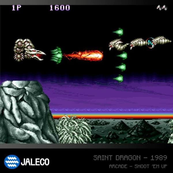 Blaze Evercade - Jaleco Arcade Collection 1 - Kartong Arcade nr 5