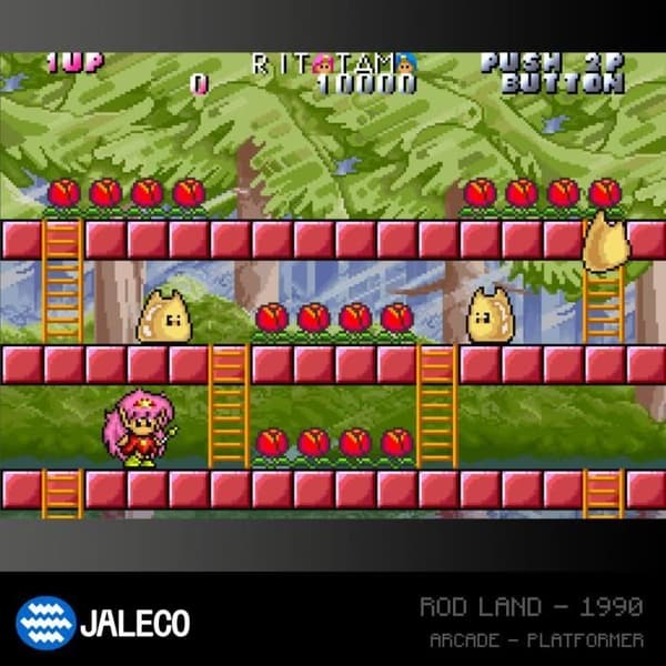 Blaze Evercade - Jaleco Arcade Collection 1 - Kartong Arcade nr 5
