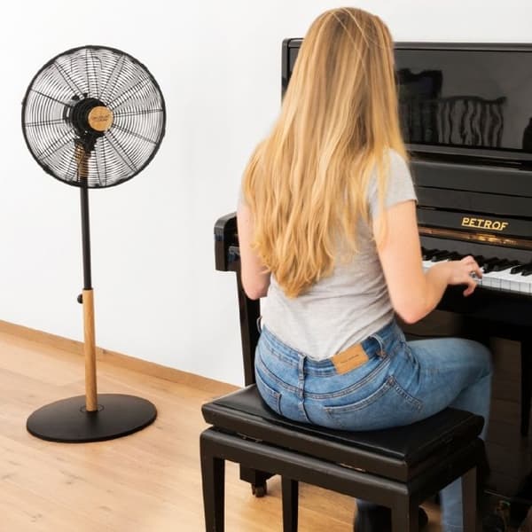 Cecotec Golvfläkt EnergySilence 600 Woodstyle