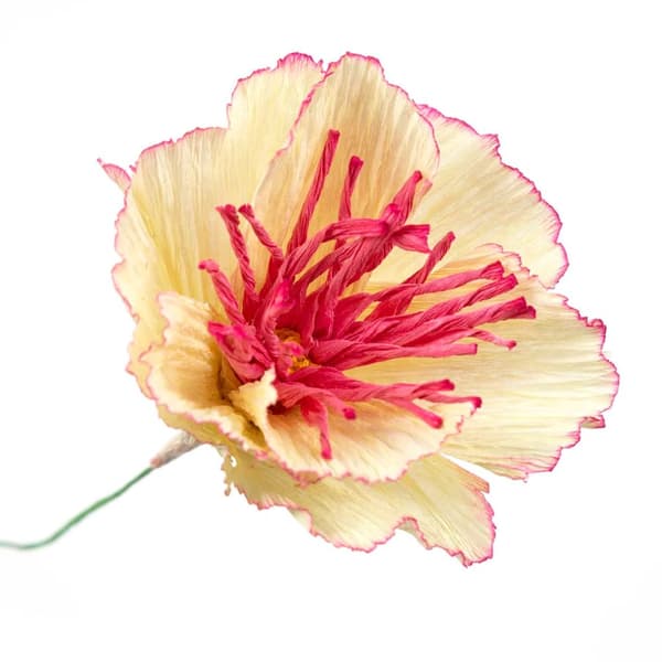 DIY Pysselkit Kräppapper - Blommor i Pastellfärger