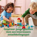 Miniatyrbild 1 av 5: LEGO DUPLO Lyxförvaringslåda - 10914