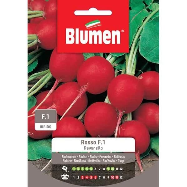 SEMI RAVANELLO ROSSO F1 BLUMEN SEMENTI ORTO