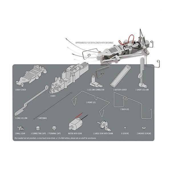 4m Fun Mechanics Kit - Insektoid