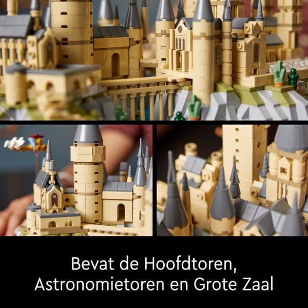 LEGO Harry Potter Hogwarts slott med utomhusområde 76419 (76419)