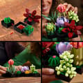Miniatyrbild 5 av 9: LEGO Icons - Suckulenter (10309) (10309)