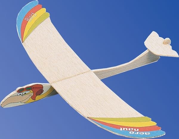 Aero-naut - Fågelflygplan