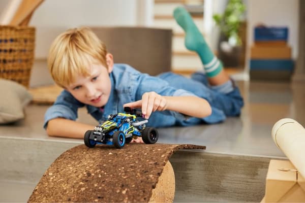 LEGO Technic Offroad Racing Buggy - 42164