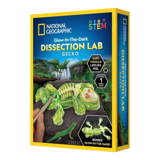 National Geographic - geckodissektionslabb