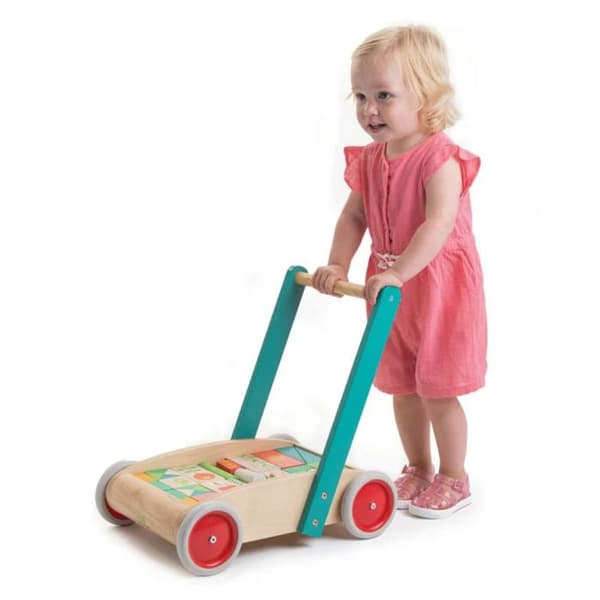 Träleksak - Tender Leaf Toys - Vagn med block - Flerfärgad - 29 block - Från 18 månader