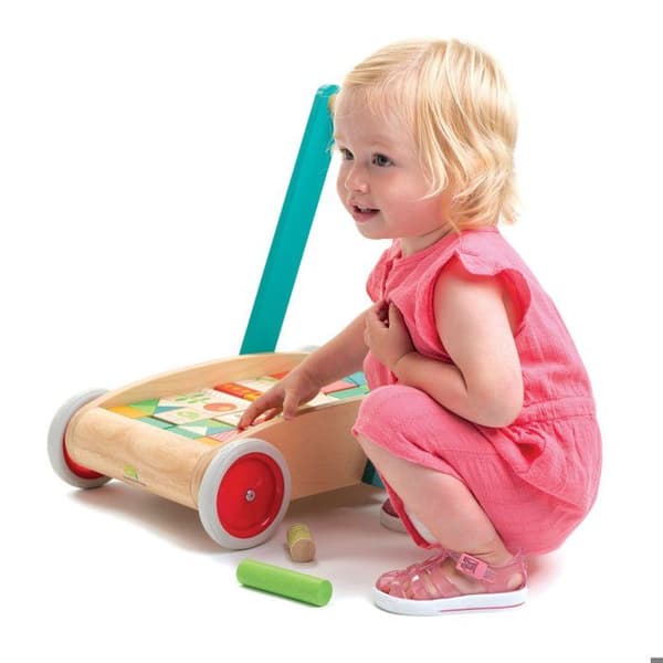 Träleksak - Tender Leaf Toys - Vagn med block - Flerfärgad - 29 block - Från 18 månader