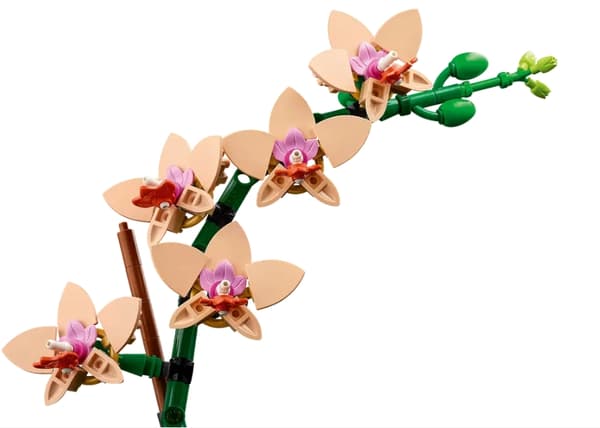 LEGO Botanical Collection Miniatyrorkide