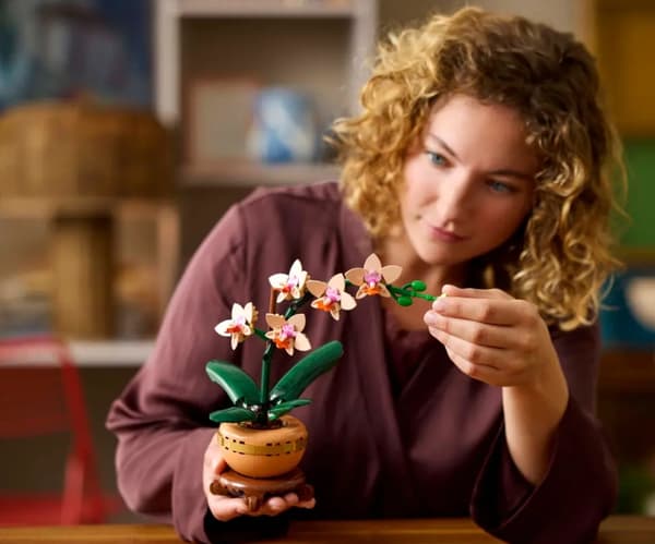 LEGO Botanical Collection Miniatyrorkide