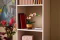 Miniatyrbilde 6 av 9: LEGO Botanical Collection Miniatyrorkide