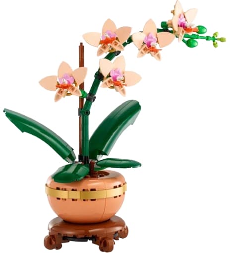 LEGO Botanical Collection Miniatyrorkide