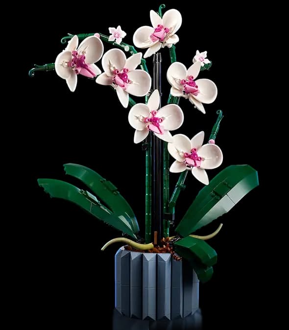 LEGO Creator Expert -setti 10311 Orkidea ORCHID ICON