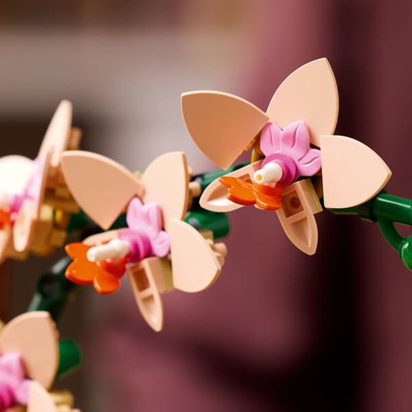 LEGO Small ORCHID 10343 Botanical Collection - Små orkidéblomster ikoner