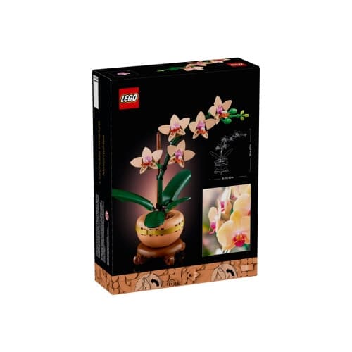 LEGO The Botanical Collection 10343 - Miniorkidé - byggsats