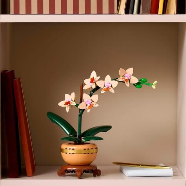 LEGO Botany 10343 Orchid Miniature - Konstgjorda blommor - Presentidé för kvinnor