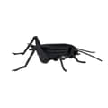 Miniatyrbild 3 av 6: Fridolin - Pappersmodell 3D Cricket