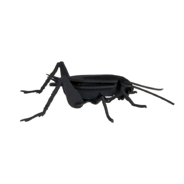 Fridolin - Pappersmodell 3D Cricket