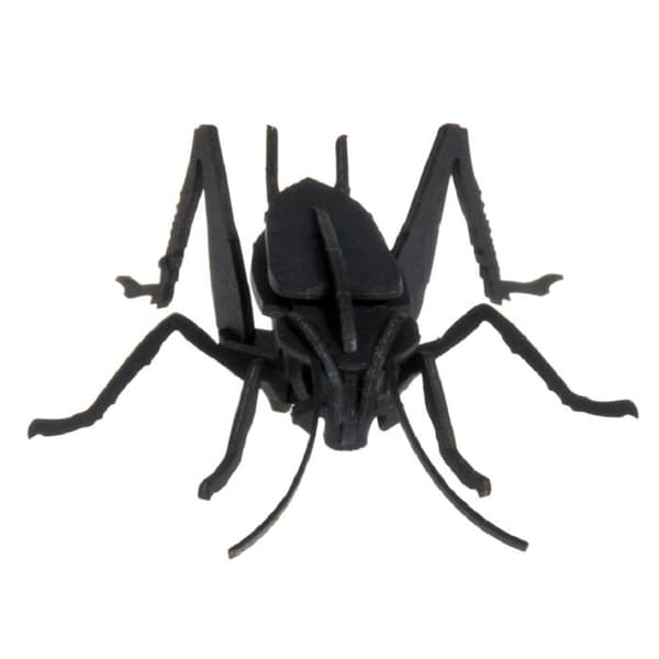 Fridolin - Pappersmodell 3D Cricket