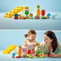 Miniatyrbild 6 av 6: LEGO® DUPLO Min första 10984 Den ekologiska trädgården, pedagogiska staplingsleksaker för spädbarn från 1,5 år