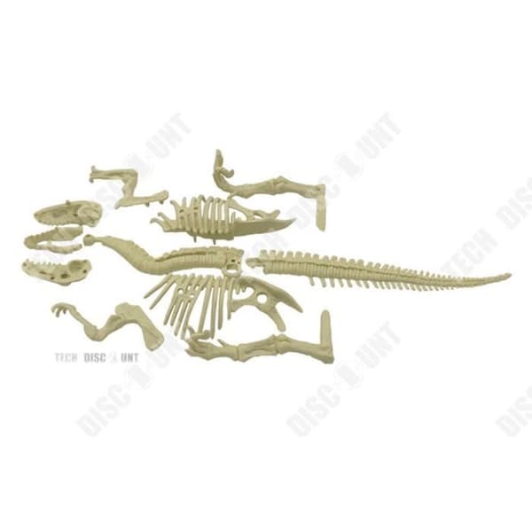 TD® Dinosaurie Skelett Montera Leksak Realistisk Arkeologisk Gräv Barn Fossil Flicka Pojke Tyrannosaurus Byggnad