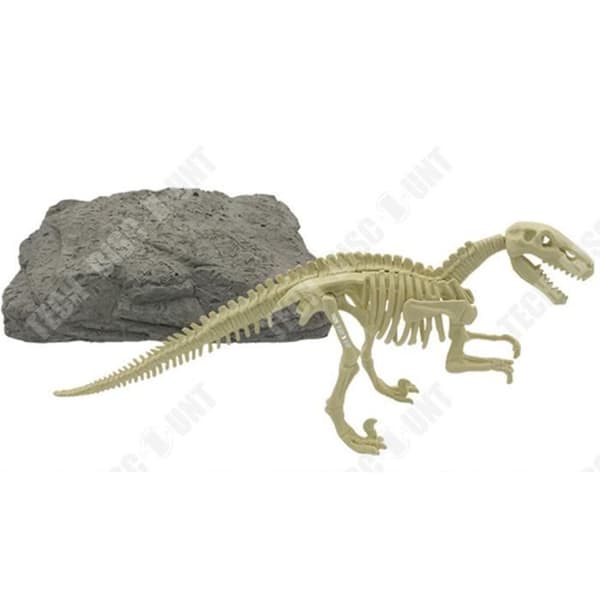 TD® Dinosaurie Skelett Montera Leksak Realistisk Arkeologisk Gräv Barn Fossil Flicka Pojke Tyrannosaurus Byggnad