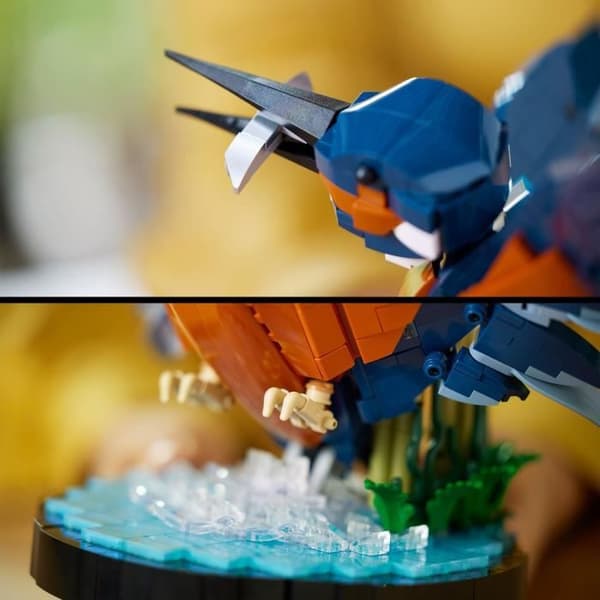 LEGO Icons 10331 Kungsfiskaren, modellsats för vuxna, presentidé för hem- eller kontorsdekoration