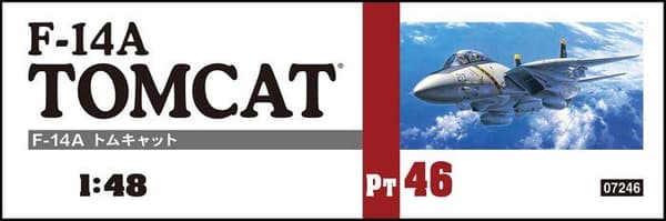 Aviation att bygga Hasegawa - HAPT46 - 07246 1/48 F-14A Tomcat