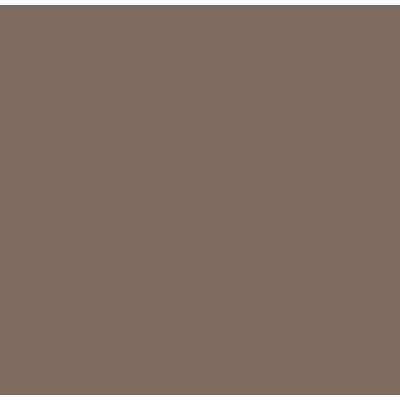 Cam Alle Ljusbrun 144 / 825 Paint Pot 17ml