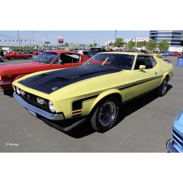 Modellbil - Revell - 71 Mustang Boss 351 - Vit - Vuxen - 15 år gammal
