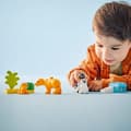 Pikkukuva 5 / 6: LEGO DUPLO My Town 10442 Villieläinperheet: Pingviinit ja leijonat - Varhaisoppimisen pelit