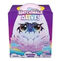 Pikkukuva 6 / 6: SPIN MASTER DRAGGLE HATCHIMALS ELÄVÄ SALAINEN LUUKKU