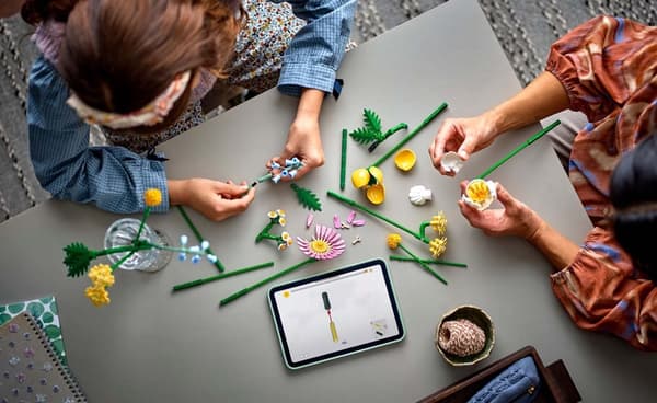 LEGO Botanical Collection Søt Sommerbukett