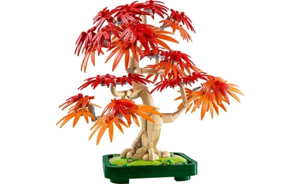 LEGO Botanical Collection Bonsai Tre Japansk Lønn