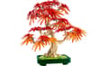Miniatyrbilde 2 av 4: LEGO Botanical Collection Bonsai Tre Japansk Lønn