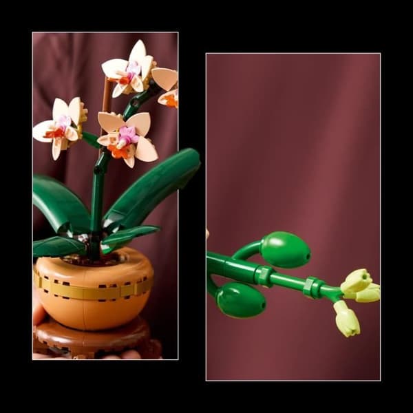 LEGO Botany 10343 Orkideaminiatyyri - Tekokukat - Lahjaidea naisille